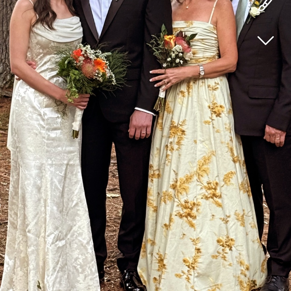 Reformation gown